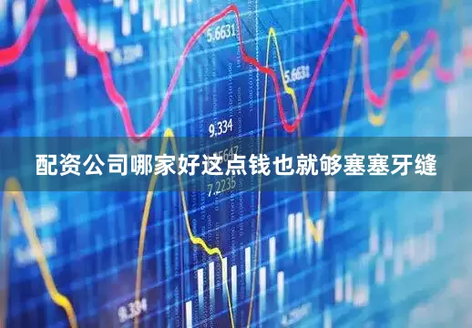 配资公司哪家好这点钱也就够塞塞牙缝