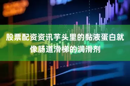 股票配资资讯芋头里的黏液蛋白就像肠道滑梯的润滑剂