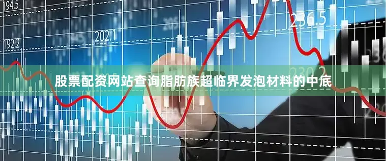股票配资网站查询脂肪族超临界发泡材料的中底